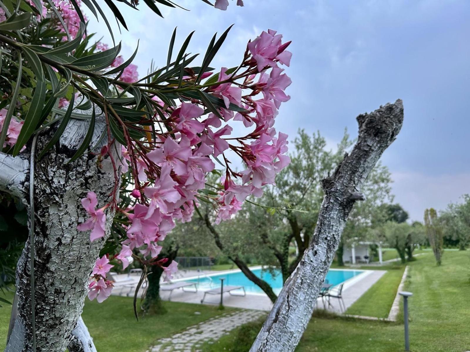 Villa Athena Charme Манерба-дель-Гарда Экстерьер фото
